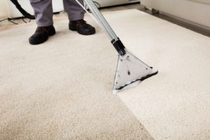 carpet steaming