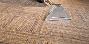 carpet cleaning Chicago
