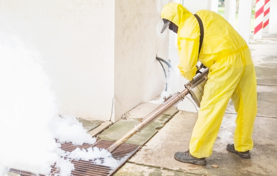 Mold Removal Made Easy: How Professionals Keep Your Home Safe