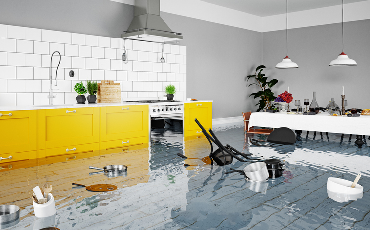 Top Tips for Preventing Home Flooding and Water Damage