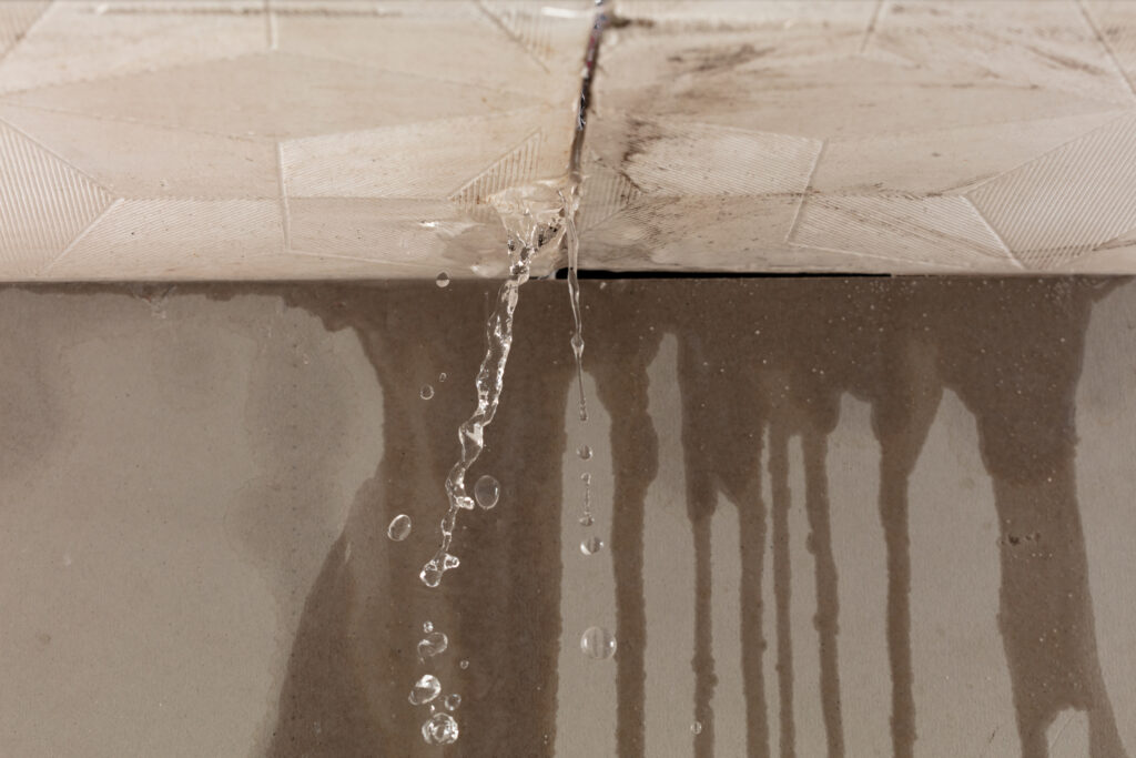 How Fast Can Water Damage Spread? Warning Signs You Shouldn’t Ignore