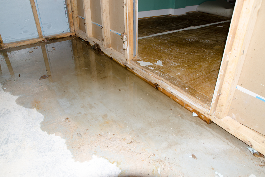 Hidden Water Damage: 7 Signs You’re Missing Behind Walls and Under Floors